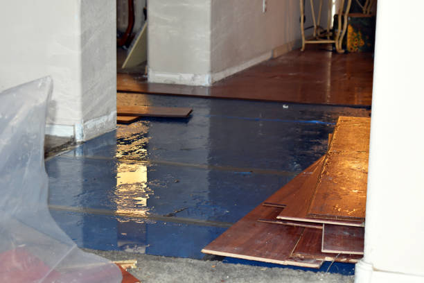 Professional Burst Pipe Water Damage technician working in Pine Level, NC